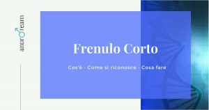 Articolo frenulo corto